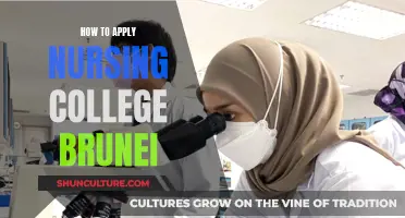 Applying to Nursing College: A Guide for Brunei Students