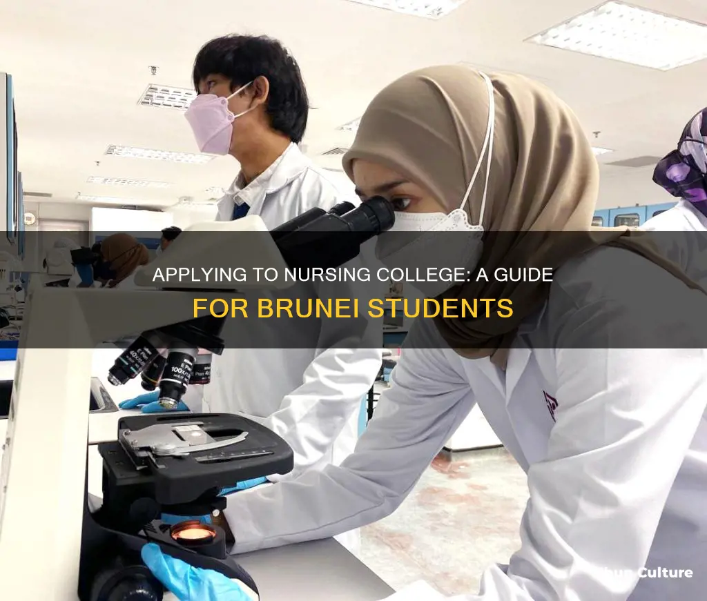 how to apply nursing college brunei