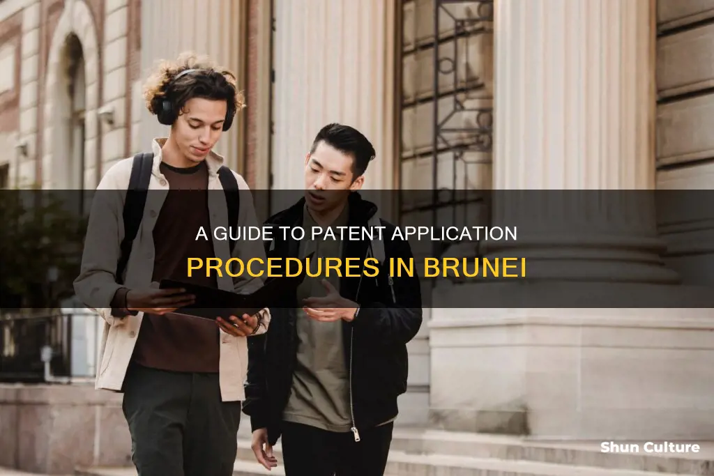 how to apply patent in brunei