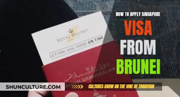 Applying for a Singapore Visa: A Guide for Bruneians