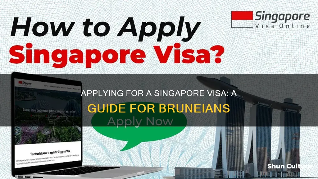 how to apply singapore visa from brunei