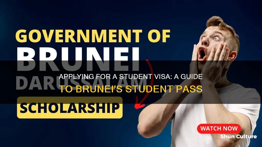 how to apply student pass in brunei