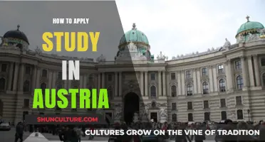 Study in Austria: A Guide to Application Success