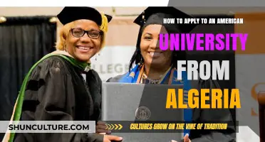 Navigating the Application Process: Algerian Students' Guide to U.S. Universities