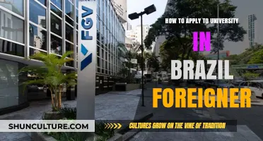 A Foreigner's Guide to Applying to Brazilian Universities