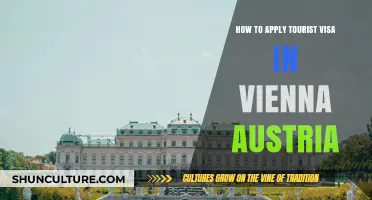 Visa Application Guide: Vienna, Austria's Tourist Visa Process