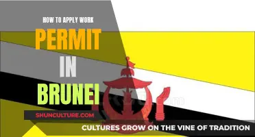 Applying for a Work Permit: Navigating Brunei's Visa Process