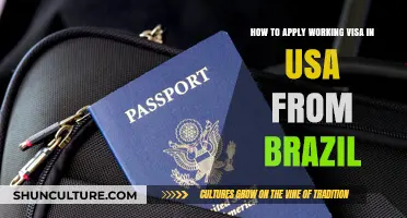 Step-by-Step Guide: Applying for a USA Work Visa from Brazil