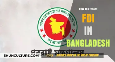Strategies to Boost Foreign Direct Investment in Bangladesh's Growing Economy