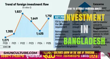 Strategies to Boost Foreign Direct Investment in Bangladesh's Growing Economy