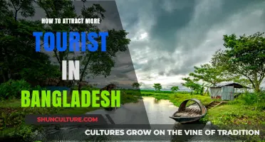 Unveiling Bangladesh's Charm: Strategies to Boost Tourism and Visitor Appeal