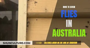 Avoid Flies in Australia: Tips for a Pest-Free Summer