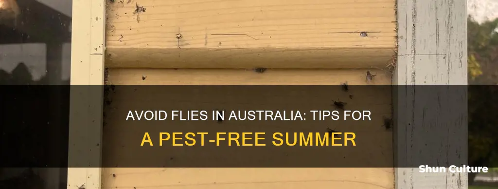 how to avoid flies in australia