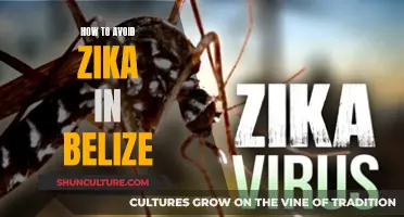 Navigating Belize's Beauty: Strategies to Avoid Zika Exposure