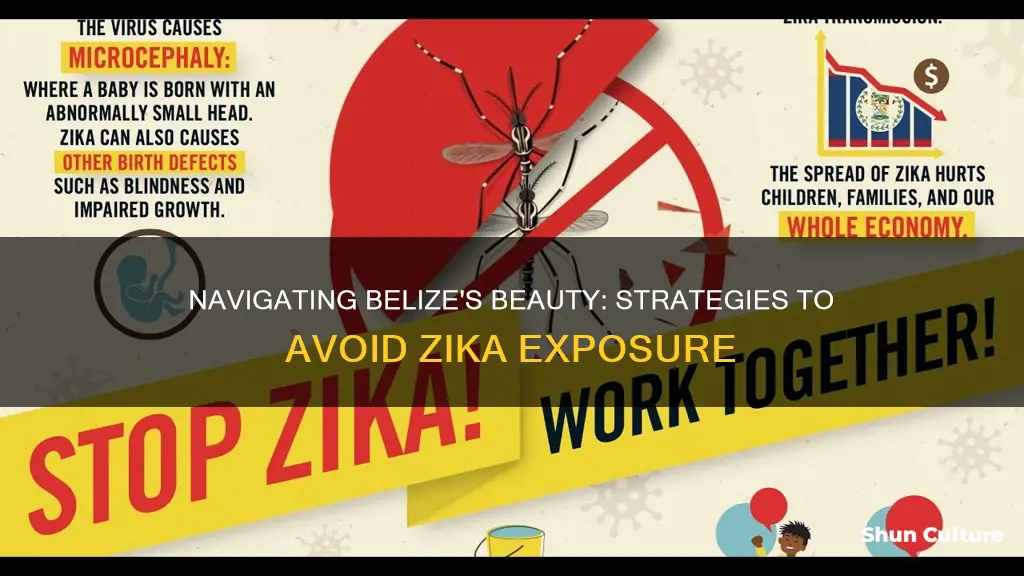 how to avoid zika in belize