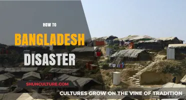 Understanding Bangladesh's Disaster Risks: Strategies for Preparedness and Resilience