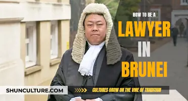 Becoming a Lawyer in Brunei: A Comprehensive Guide