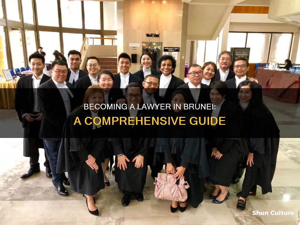 how to be a lawyer in brunei