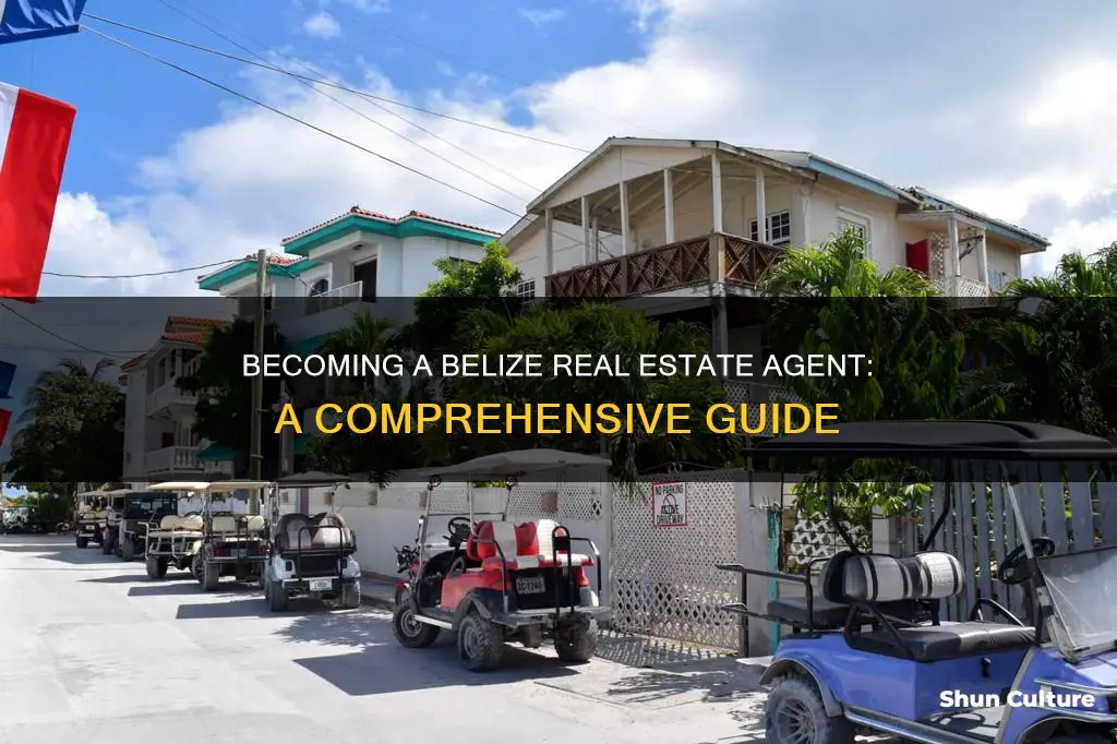 how to be a real estate agent in belize