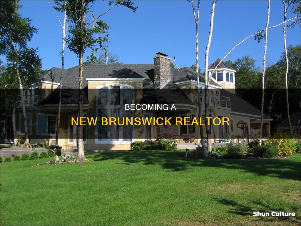 how to be a real estate agent in new brunswick