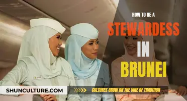 Becoming a Stewardess: Brunei's Aviation Career Prospects