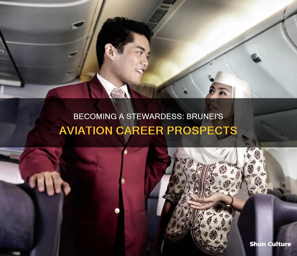 how to be a stewardess in brunei