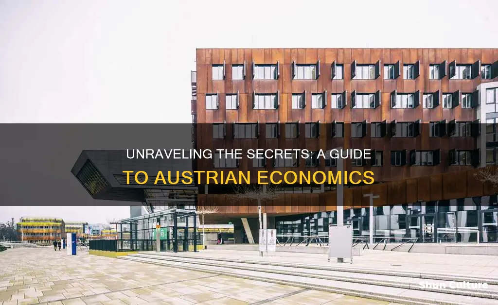 how to be an austrian economist