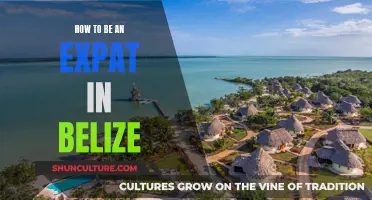 Expat Life in Belize: A Comprehensive Guide to Paradise