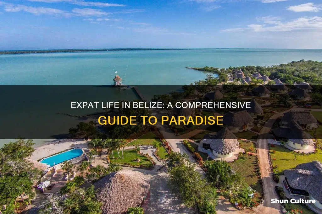 how to be an expat in belize