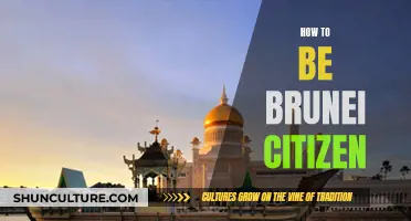 Becoming a Brunei Citizen: A Comprehensive Guide