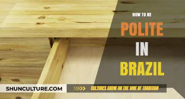 Mastering Brazilian Etiquette: Polite Gestures and Cultural Insights for Visitors