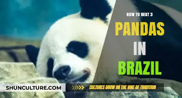 Surviving and Outsmarting Three Pandas in the Brazilian Wilderness