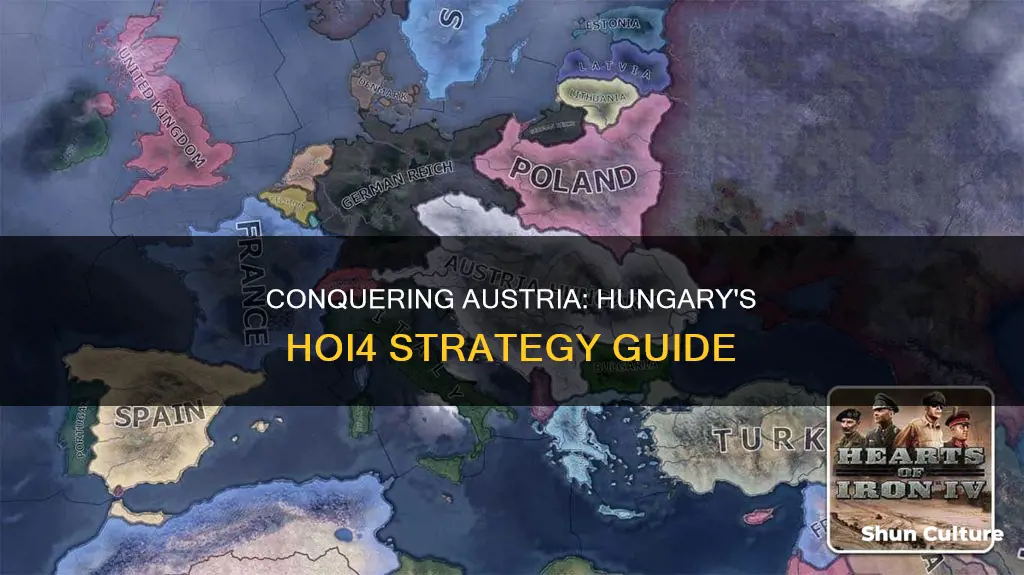 how to beat austria as hungary hoi4