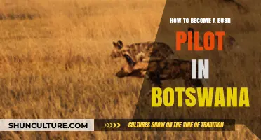 Mastering Botswana's Skies: Your Guide to Becoming a Bush Pilot
