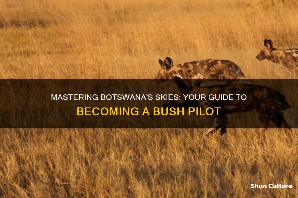 how to become a bush pilot in botswana