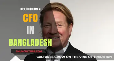 Mastering the Path to CFO Success in Bangladesh: A Comprehensive Guide