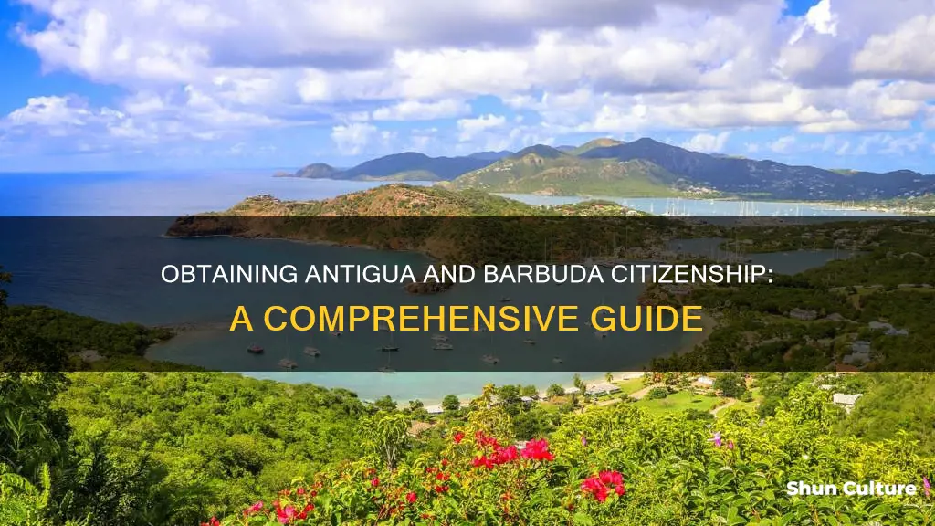 how to become a citizen of antigua and barbuda