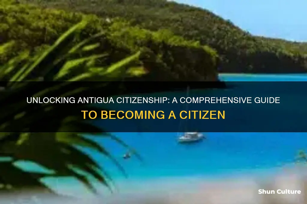 how to become a citizen of antigua