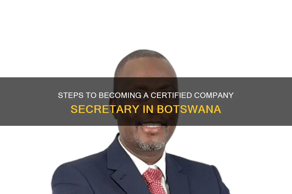 how to become a company secretary in botswana