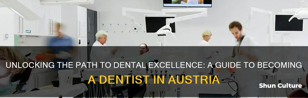 how to become a dentist in austria