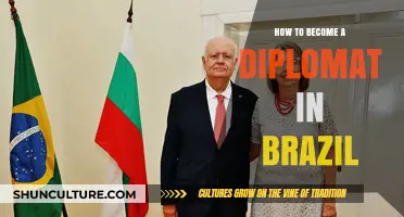 Pursuing a Diplomatic Career in Brazil: Essential Steps and Requirements