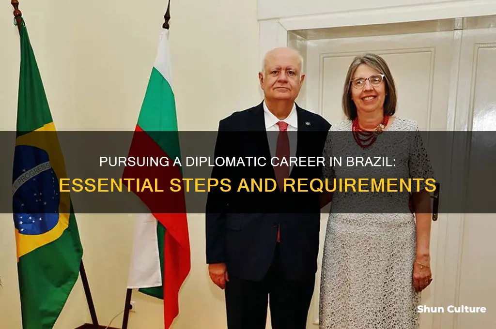 how to become a diplomat in brazil