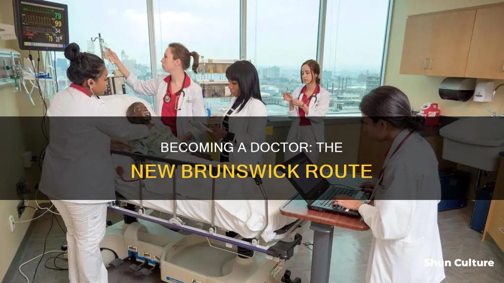 how to become a doctor in new brunswick