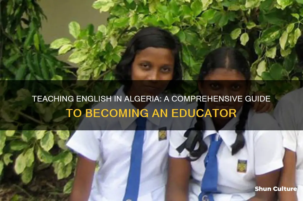 how to become a english teacher in algeria