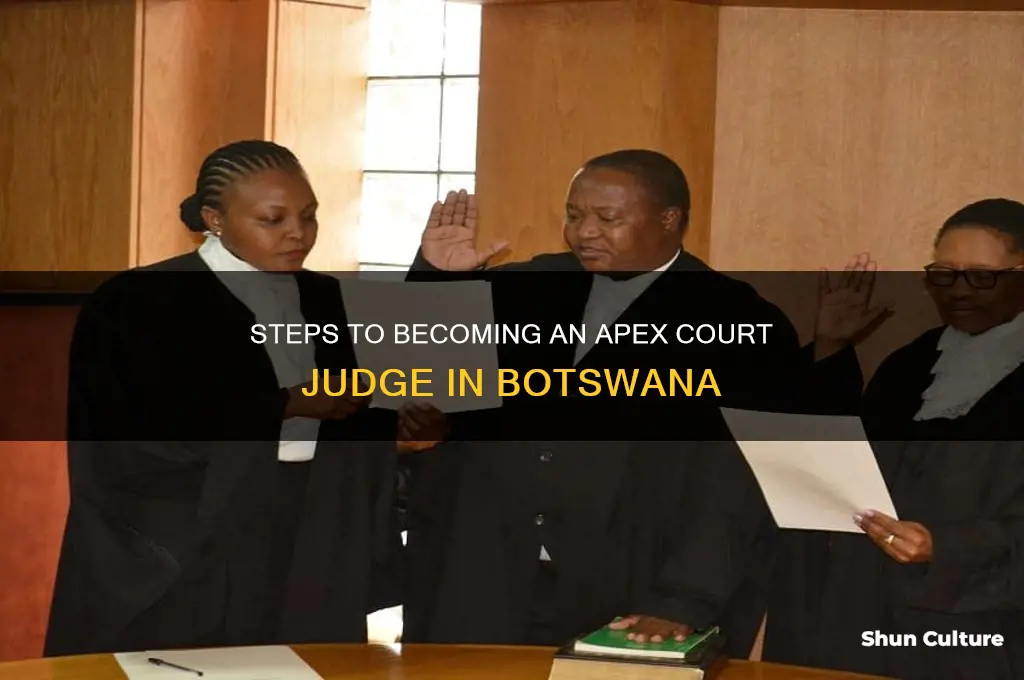 how to become a judge in apex court botswana