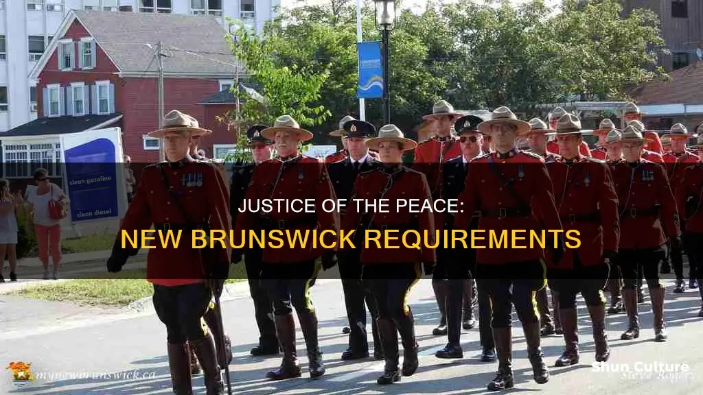 how to become a justice of the peace new brunswick