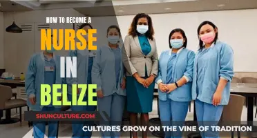 Belize's Nursing Path: Unlocking Career Opportunities in Paradise