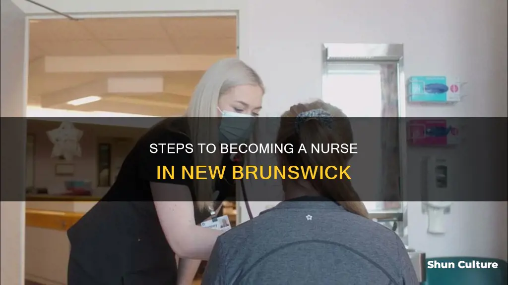 how to become a nurse in new brunswick