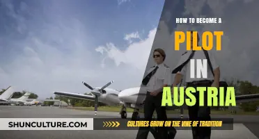 Soar to Success: Your Guide to Becoming a Pilot in Austria