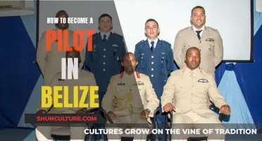 Belize's Skies: Navigating the Path to Becoming a Pilot